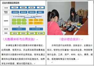 会计学院专业设置 会计信息管理与软件开发融合发展探析——以湖南商务职业技术学院为例