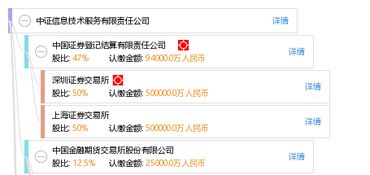 中证信息技术服务有限责任公司 软件开发的引领者与创新实践者